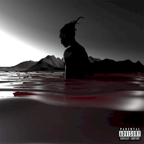 Year of the Savage cover